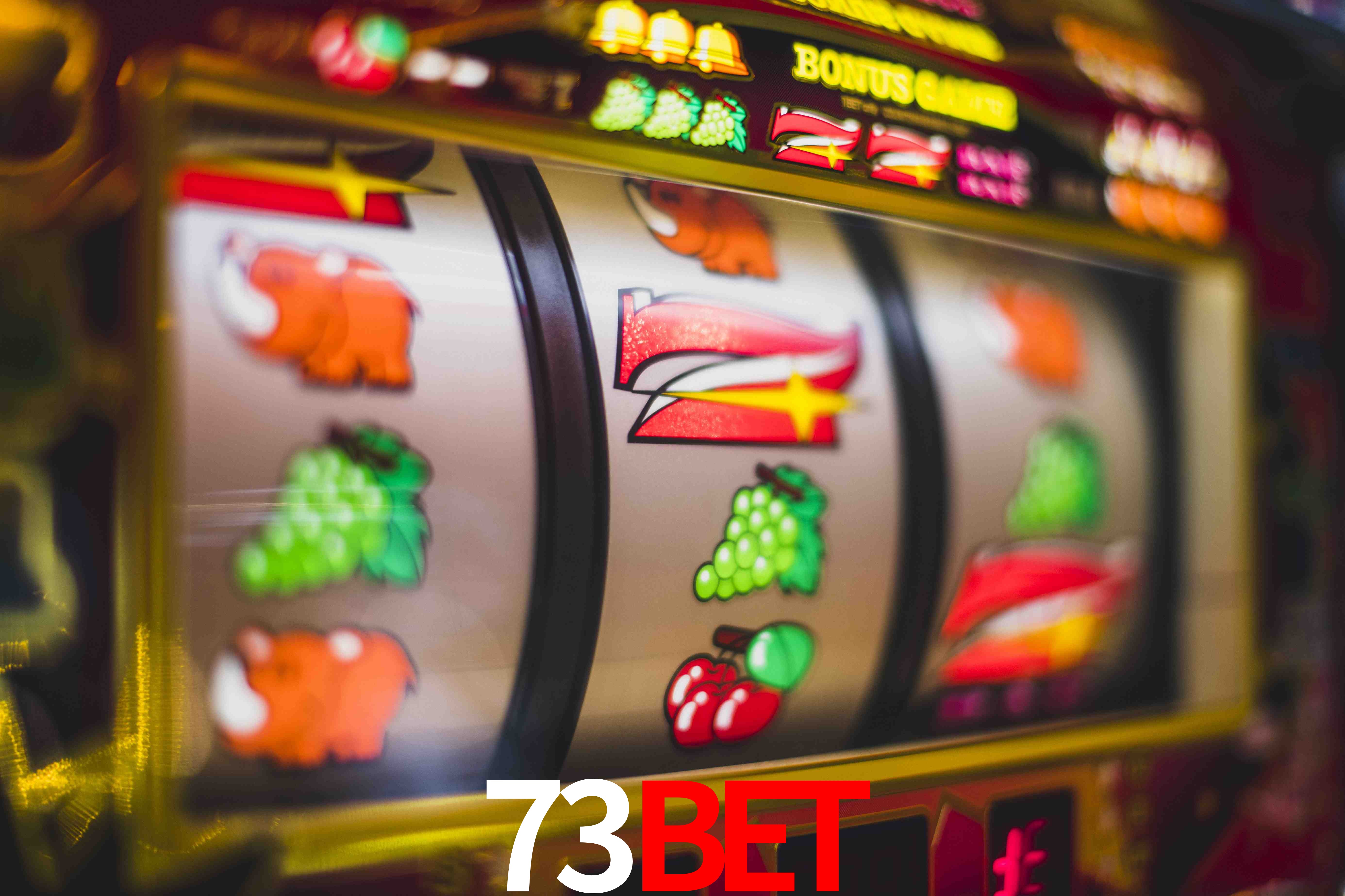 Live Casino 73Bet